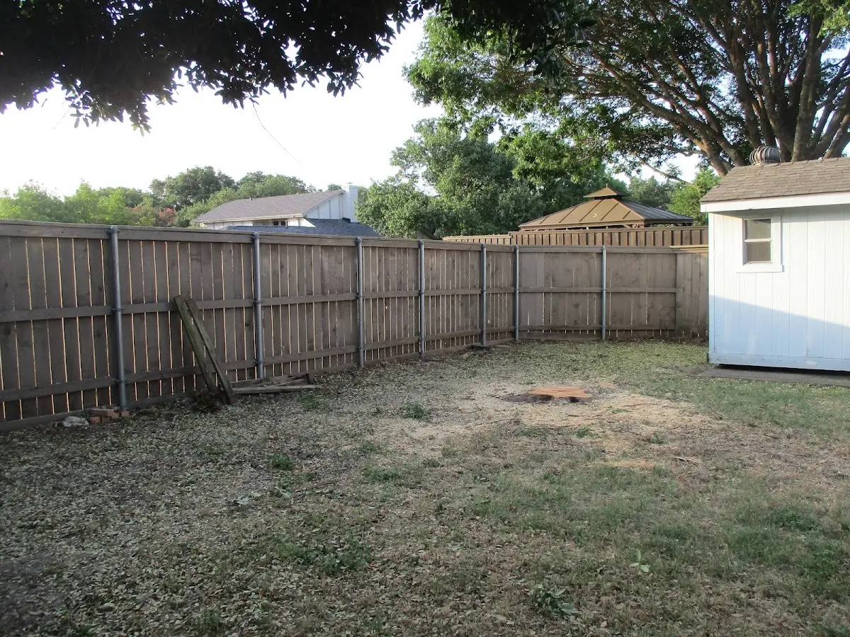 Cleared yard after professional tree removal in Silverado
